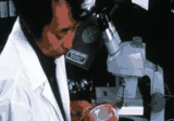 Laboratory technician with microscope and culture dish